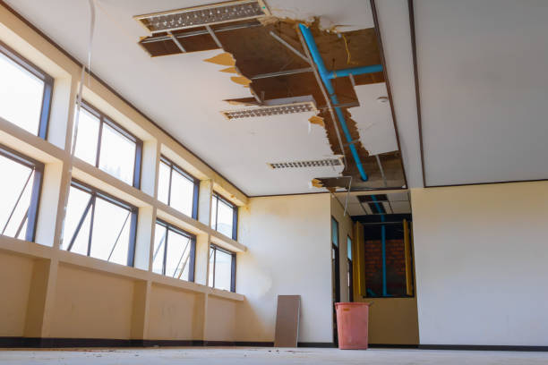 Best Ceiling water damage repair  in Cambridge, OH