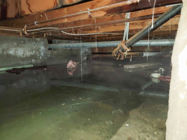 Water damage restoration process in OH