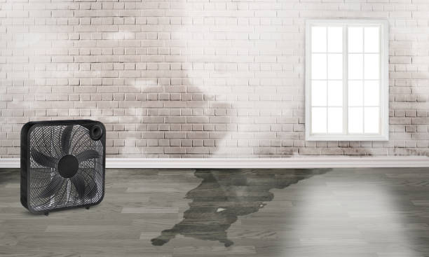 Best Residential water damage restoration  in Cambridge, OH