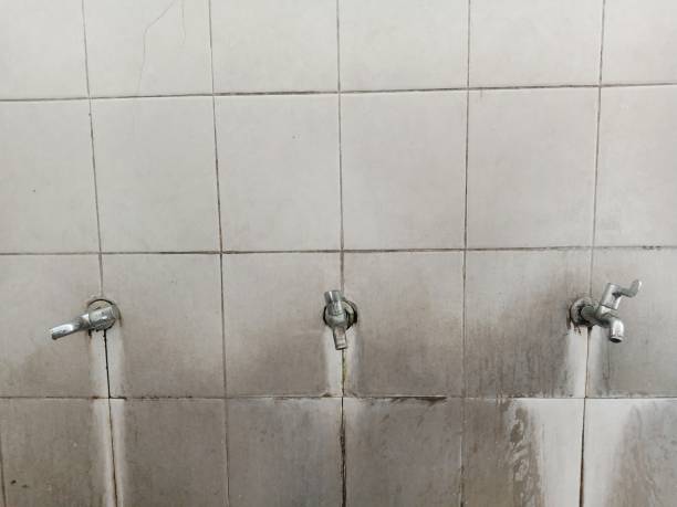 Best Flood restoration services  in Cambridge, OH