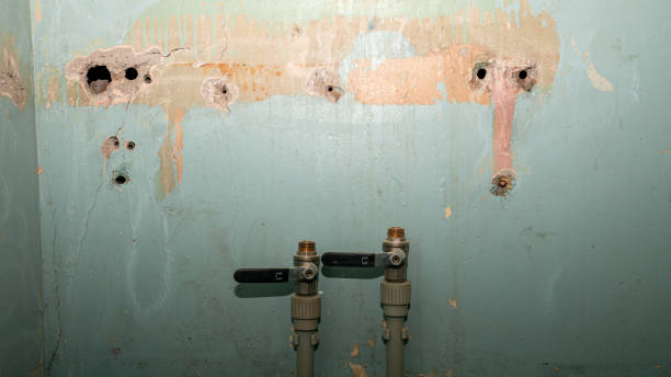Best Water damage restoration near me  in Cambridge, OH